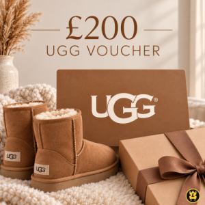 £200 UGG VOUCHER